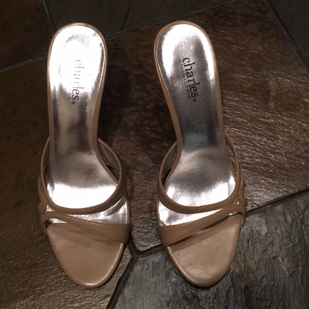 Charles Mule Slide Sandal 👡